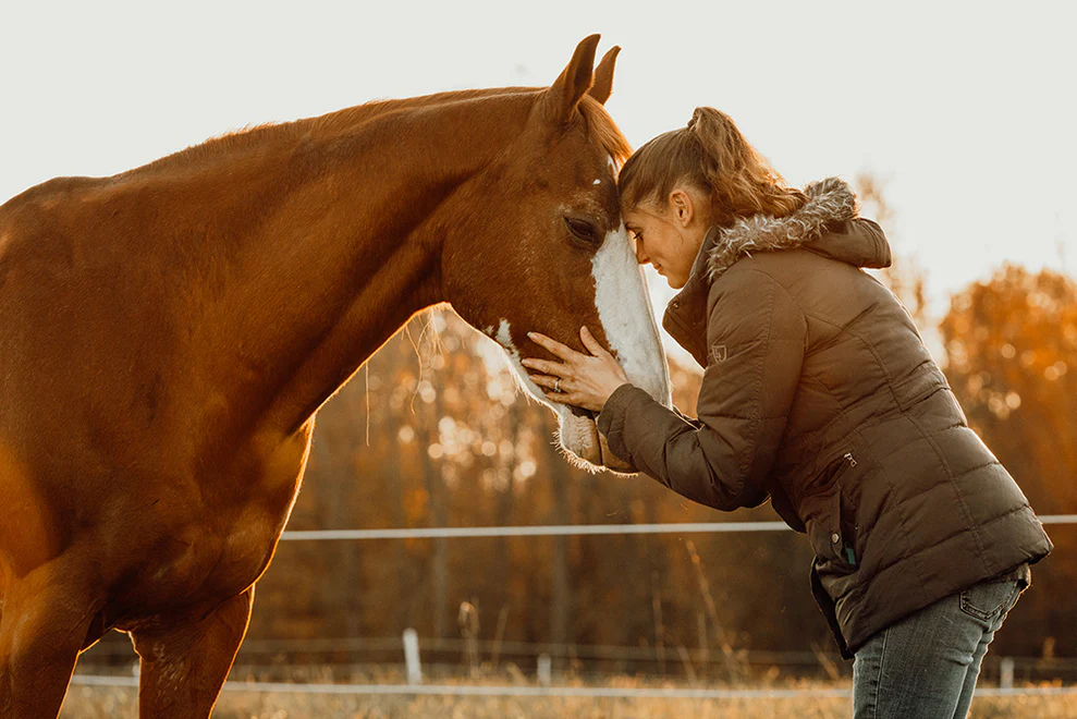 Fuel Your Horse's Peak Performance